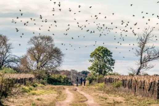 Argentina Shooting Trips